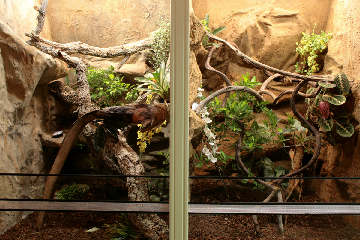 Vnitřní uspořádání